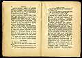 La catastrofe_116